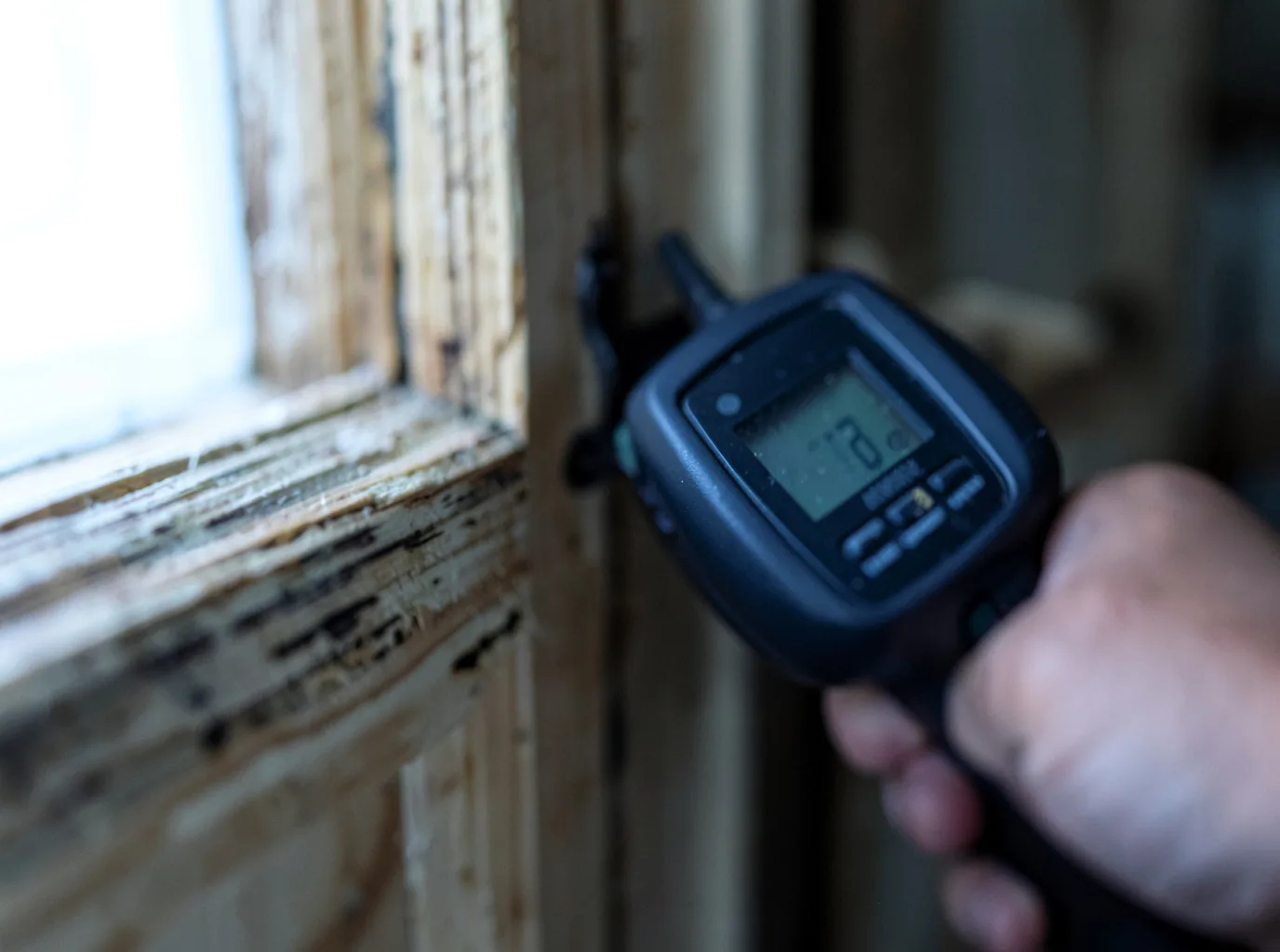 Moisture Inspection And Documentation in Placedo, TX